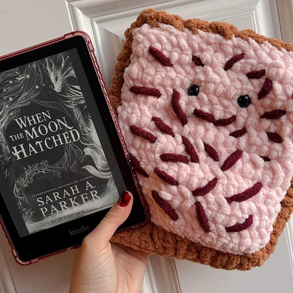 Kindle Crochet Poptart Case