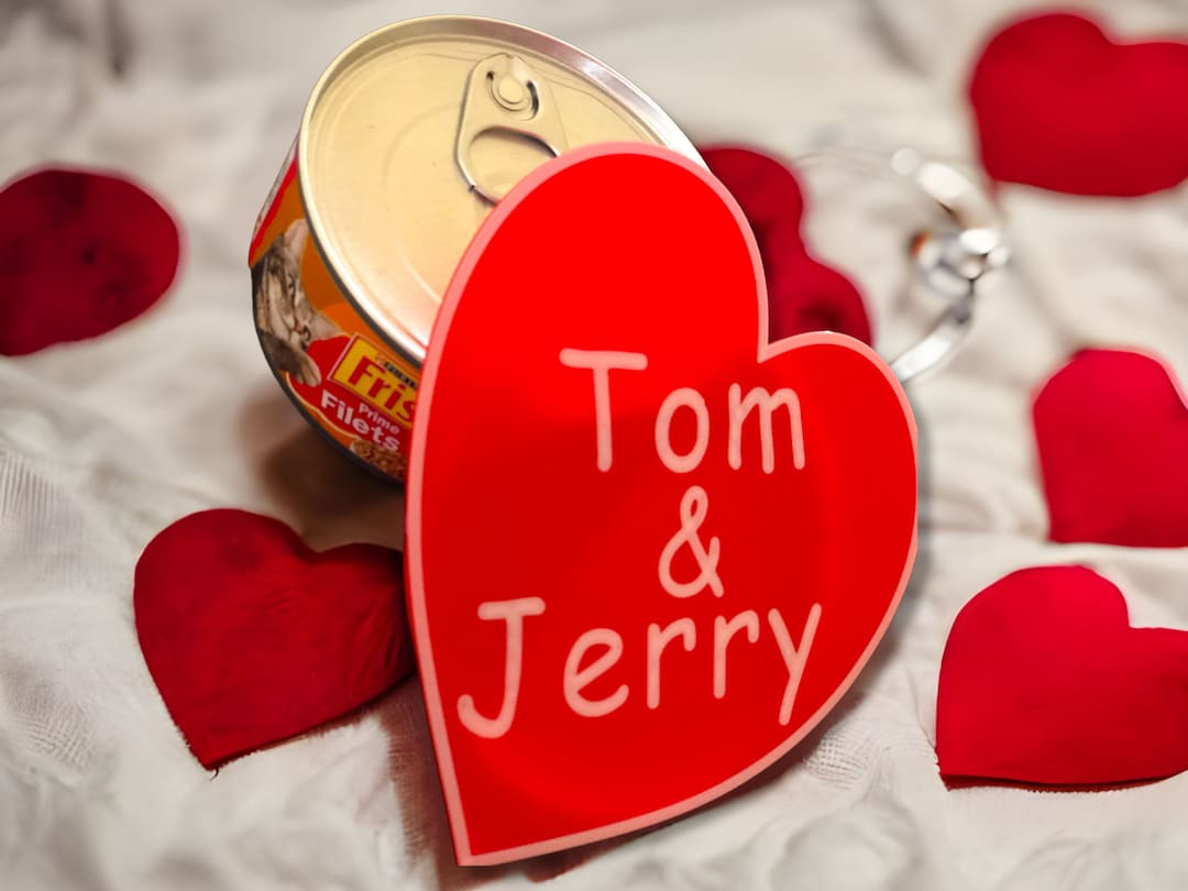 Personalized Pet Food Lids Can Food Storage Etsy