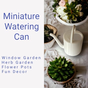 Miniature Watering Can: Indoor Plant, Herb & Fairy Garden Decor