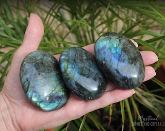 Labradorite Palm Stone | High Flash Crystal