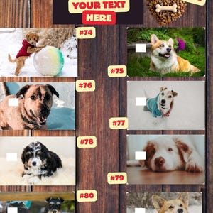K&ouml;nnte beinhalten: Eine Holztafel mit Hunde-Bildern und Texten wie "YOUR DESIGN HERE" und "YOUR TEXT HERE". In der oberen rechten Ecke befindet sich eine herzf&ouml;rmige Anordnung von Hundefutter mit einem Knochen.