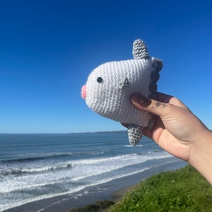 Mola mola (ocean sunfish) crochet plushie - cute mola mola amigurumi gift for ocean lovers