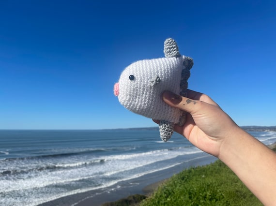 Mola Mola ocean Sunfish Crochet Plushie Cute Mola Mola Amigurumi Gift for  Ocean Lovers -  Canada