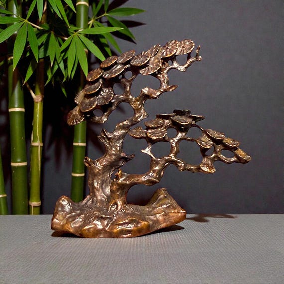 bonsai xxl indoor Juniperus Bonsai Baum – Indoor-Bonsai