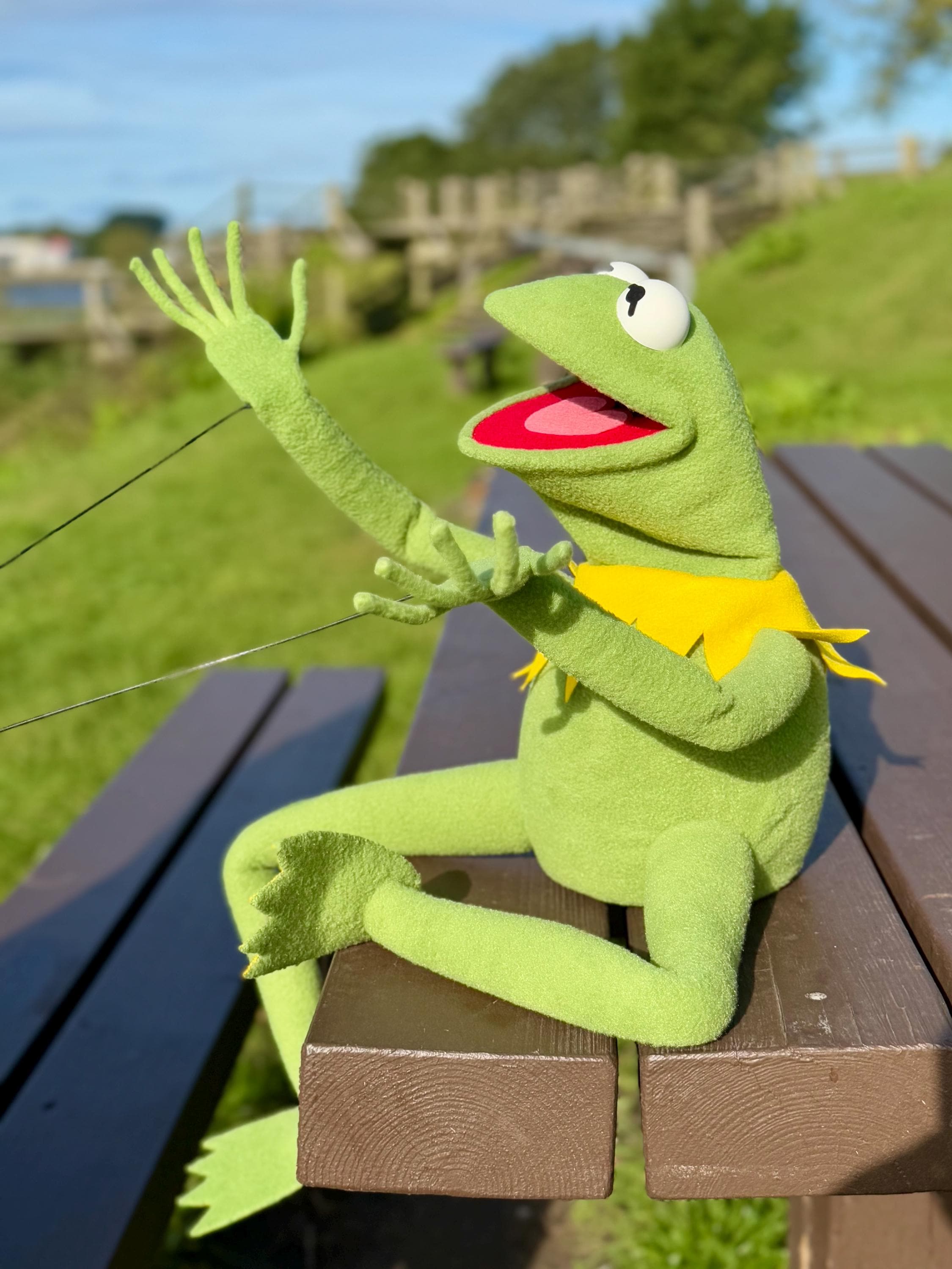 HAPPY BIRTHDAY KERMIT the FROG Kermit made his TV debut on May 9, 1955 He  was created by Jim Henson, who cut up his mother's old turquoise felt coat  to make the, image size:2250x3000