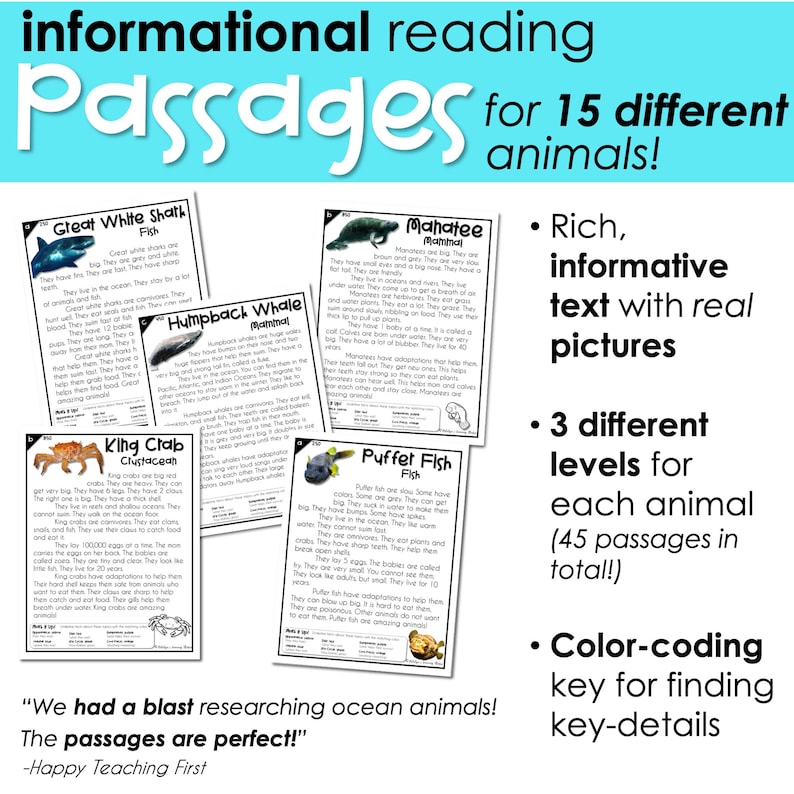 Plantilla de proyecto de investigación animal de estudio de la unidad oceánica, pasajes de lectura de educación en el hogar para 1er grado, comprensión de lectura de segundo grado 2do grado imagen 4