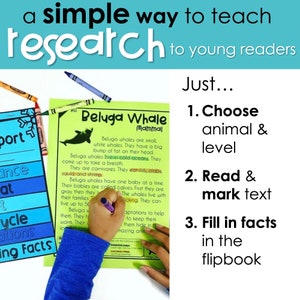 May include: A green and white educational worksheet with the title "Beluga Whale Mammal" and text about beluga whales. A child's hand is holding a purple marker and highlighting the text. The worksheet is part of a larger set of educational materials for young readers.