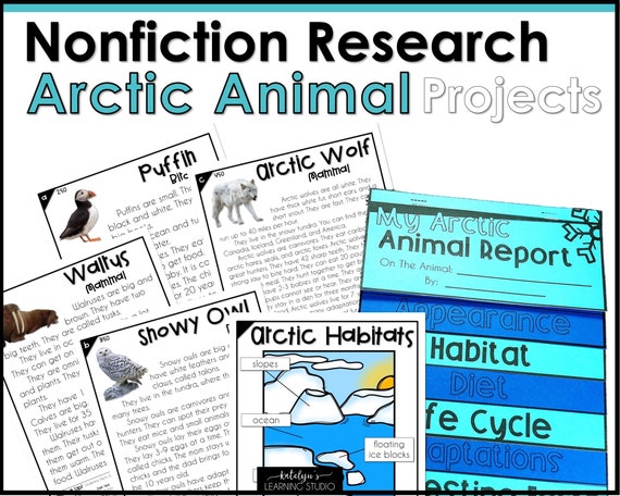 Winter Animals Unit Study Animal Research Project, Reading Comprehension 2nd grade Reading or First Grade 1, Homeschool Reading Resources