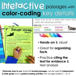 May include: A colorful educational resource for teaching about beluga whales. The resource includes a close-up image of a beluga whale, text about beluga whales, and a color-coding key for different facts about beluga whales. The text includes the words "Beluga Whale Mammal" and "Mark It Up!"