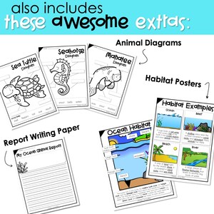 Plantilla de proyecto de investigación animal de estudio de la unidad oceánica, pasajes de lectura de educación en el hogar para 1er grado, comprensión de lectura de segundo grado 2do grado imagen 8