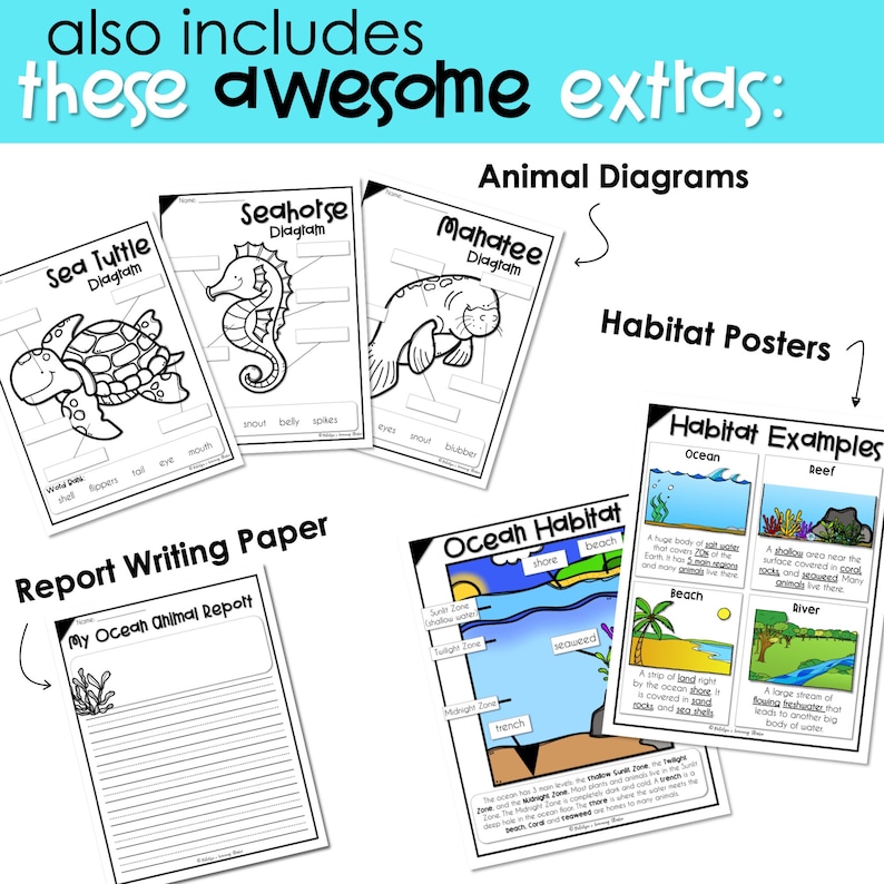 Plantilla de proyecto de investigación animal de estudio de la unidad oceánica, pasajes de lectura de educación en el hogar para 1er grado, comprensión de lectura de segundo grado 2do grado imagen 8