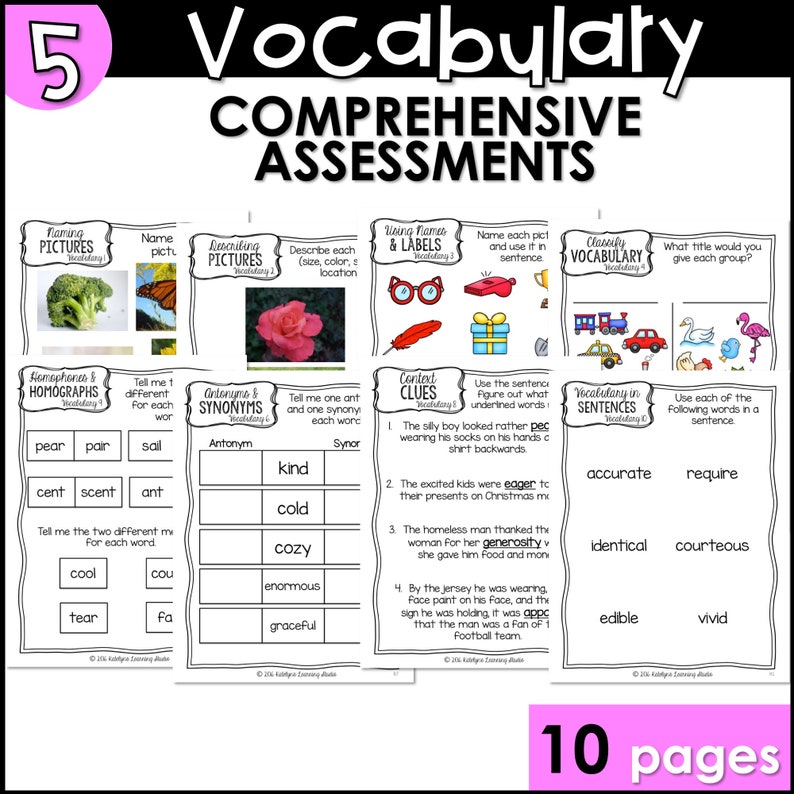 May include: A set of 10 printable worksheets for vocabulary assessments. The worksheets include activities such as naming pictures, describing pictures, using names and labels, classifying vocabulary, vocabulary in sentences, homophones and homographs, antonyms and synonyms, and context clues.