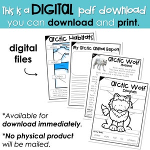 May include: A printable digital download for learning about arctic habitats and the arctic wolf. The download includes a diagram of an arctic wolf with labels for paws, ears, tail, fur, and whiskers. The text "My Arctic Animal Report" is at the top of the page.