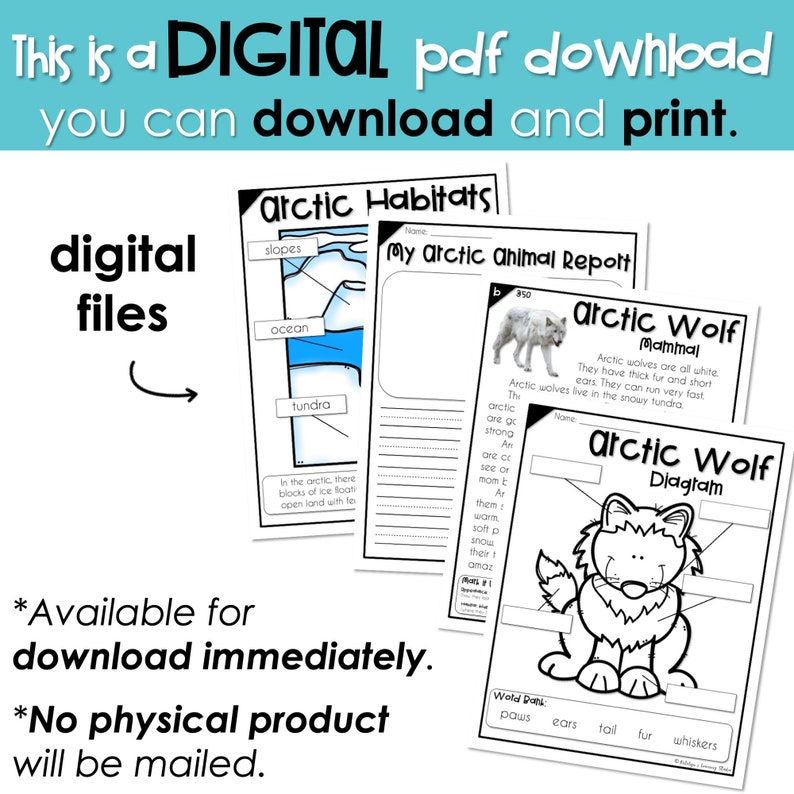 May include: A printable digital download for learning about arctic habitats and the arctic wolf. The download includes a diagram of an arctic wolf with labels for paws, ears, tail, fur, and whiskers. The text "My Arctic Animal Report" is at the top of the page.