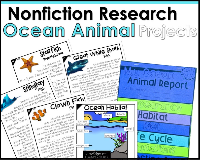 Plantilla de proyecto de investigación animal de estudio de la unidad oceánica, pasajes de lectura de educación en el hogar para 1er grado, comprensión de lectura de segundo grado 2do grado imagen 1