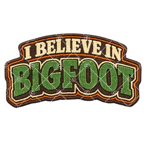 Op de afbeelding: Geborduurde patch met de tekst "I BELIEVE IN BIGFOOT". De patch heeft een bruine rand, oranje accenten en groene letters met een ruitpatroon. De tekst is in retrostijl.