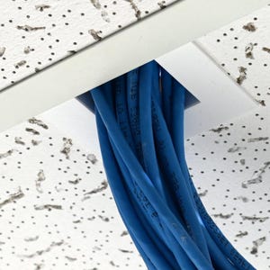 May include: A bundle of blue Ethernet cables extending downward from a square white ceiling mount. The cables are tightly grouped together, showing printed text along their length, and are positioned within a white acoustic drop ceiling tile.