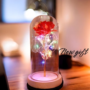 Eternal Rose in Glass Dome with LED Lights: Romantic Gift