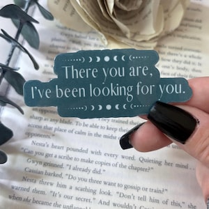 There you are I’ve been Looking for You Sticker, Bookish Fantasy Sticker, Waterproof Sticker for Kindle, Laptop, Tumbler,Gift for Book Lover