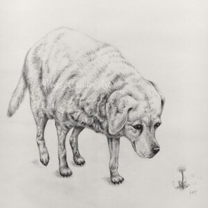 Custom Hand Drawn Pet Portrait Full Body