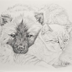 Custom Graphite Pencil Pet Portrait