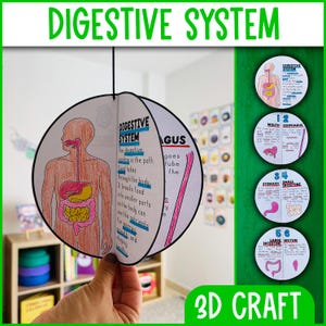May include: A 3D craft of the digestive system, featuring a circular, multi-layered design with illustrations of the human digestive tract. The craft includes labeled diagrams and the text "DIGESTIVE SYSTEM" and "3D CRAFT".