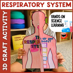 Puede incluir: Una actividad de manualidades en 3D del sistema respiratorio. La imagen muestra a un niño sosteniendo un recorte de papel de un cuerpo humano con el sistema respiratorio etiquetado. El texto en la manualidad dice "Sistema respiratorio" y "Aprendizaje científico práctico".