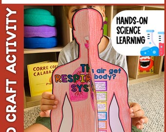 Respiratory System 3D Craft | Human Body Science Activity | Printable Classroom Project for Kids | Fun Learning Tool