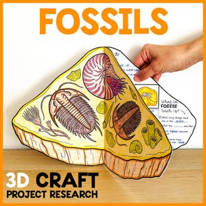 FOSSILER Projektforskningsaktivitet | Fossilpyssel 3D-modell | Allt om FOSSILER | Roligt fossilpyssel för barn | Fossilvetenskapsprojektaktivitet