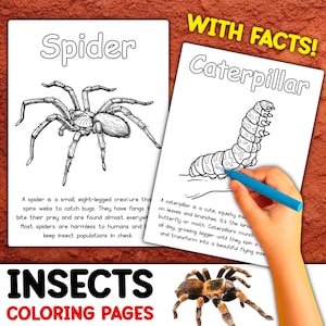 Può includere: Pagine da colorare in bianco e nero con un ragno e un bruco. Le pagine includono informazioni educative su ogni insetto. Il titolo delle pagine è "INSECTS COLORING PAGES".