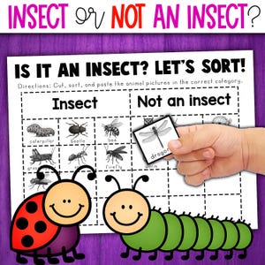 May include: Educational sorting activity titled "Insect or Not an Insect?" with a chart for sorting insect pictures. Includes illustrations of insects like a caterpillar, beetle, and bee. A hand holds a card with a dragonfly. The text reads "IS IT AN INSECT? LET'S SORT!"