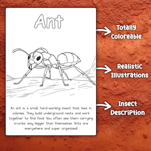 May include: A black and white line drawing of an ant. The ant is shown walking on the ground. The text "Ant" is at the top of the image. The text "An ant is a small, hard-working insect that lives in colonies. They build underground nests and work together to find food. You often see them carrying crumbs way bigger than themselves. Ants are everywhere and super organized!" is at the bottom of the image.
