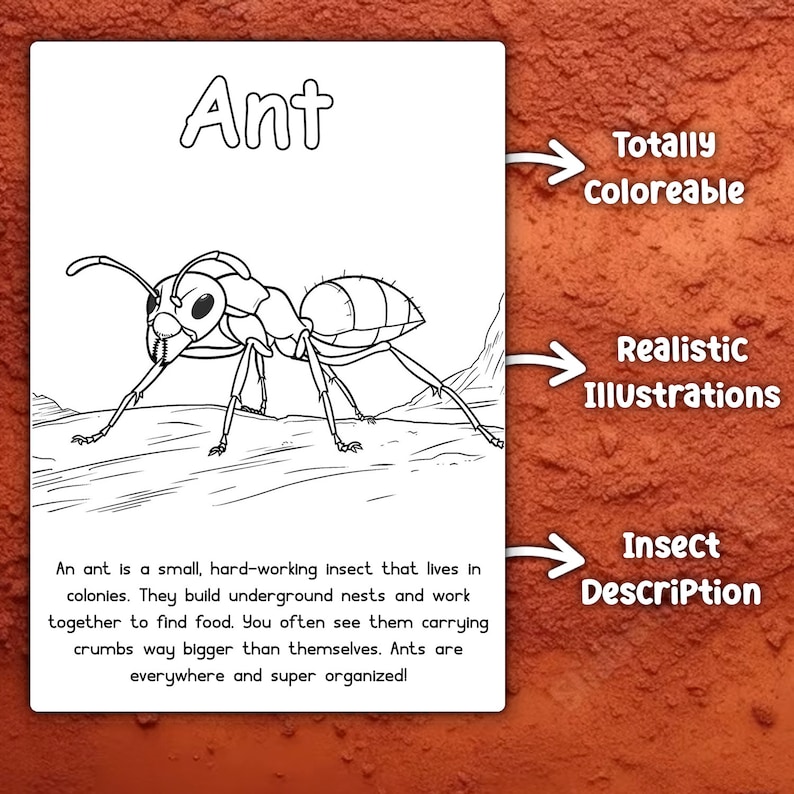 May include: A black and white line drawing of an ant. The ant is shown walking on the ground. The text "Ant" is at the top of the image. The text "An ant is a small, hard-working insect that lives in colonies. They build underground nests and work together to find food. You often see them carrying crumbs way bigger than themselves. Ants are everywhere and super organized!" is at the bottom of the image.