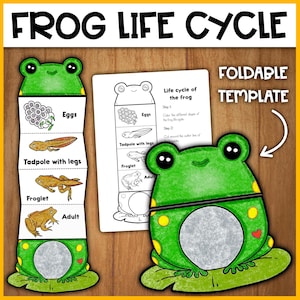 Puede incluir: Una plantilla de ciclo de vida de la rana plegable imprimible. La plantilla incluye una rana en diferentes etapas de su ciclo de vida: huevos, renacuajo con patas, renacuajo y adulto. La plantilla está diseñada para ser recortada y doblada.