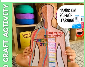 3D-Bastelarbeit zum Kreislaufsystem | Wissenschaftliche Aktivität zum menschlichen Körper | Druckbares Anatomieprojekt | Praktisches Lernen für Kinder