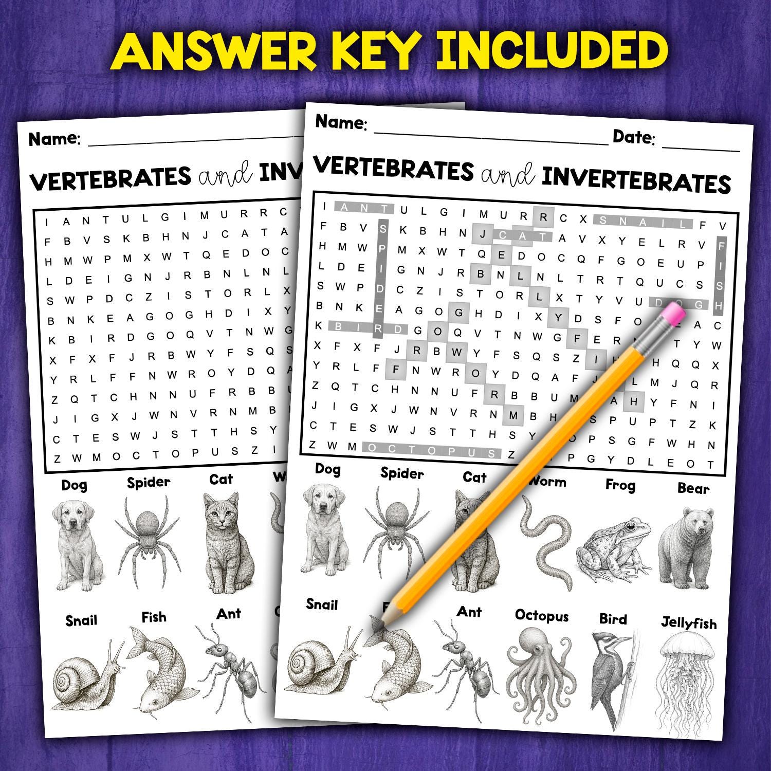 Vertebrates & Invertebrates Activity | Word Search Worksheet | Science ...