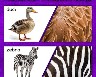 Tierfell/Haut-passende Karten | Montessori-Aktivität zum Ausdrucken | Muster-Lernspiel, Kleinkind, Vorschule, Kindergarten, Homeschool