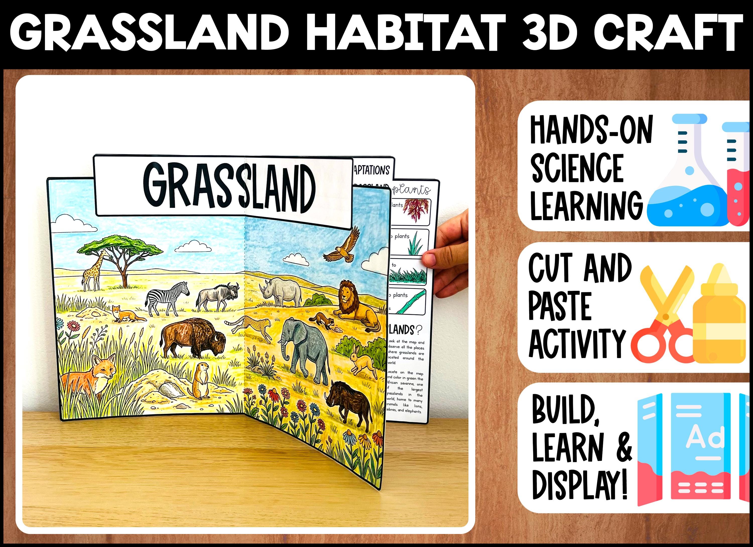 GRASSLAND Habitat | 3D Craft Activity | Biomes Hands-on Science ...
