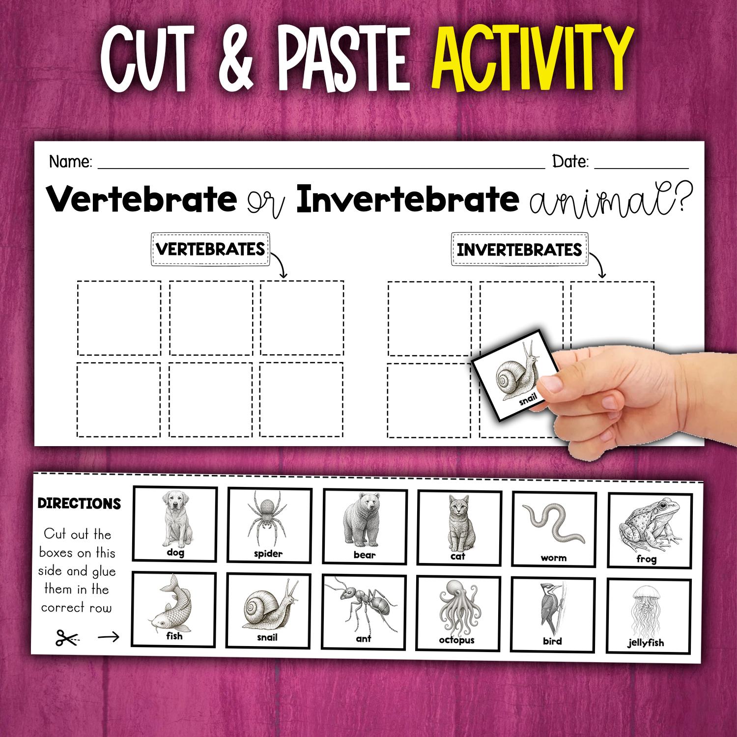 Vertebrates Sort Vertebrates and Invertebrates Sorting Worksheet Activity | Cut and ...