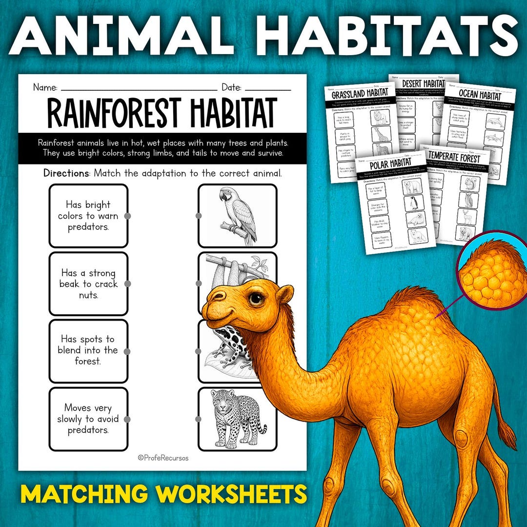 Animal Habitats & Biomes | Matching Worksheets | Animal Ecosystems ...