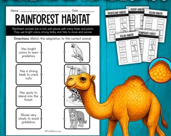 Animal Habitats & Biomes | Matching Worksheets | Animal Ecosystems Project | Animals Around the World | Animal Biomes and Habitats