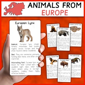 Animals from Europe | European Animals | Flashcards | Animals Montessori Cards | Animals from the world