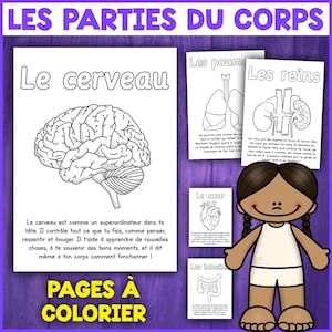 Puede incluir: Páginas para colorear educativas con partes del cuerpo humano, incluyendo el cerebro, los pulmones, los riñones, el corazón y los intestinos. Las páginas están etiquetadas en francés con ilustraciones y texto. El título "LES PARTIES DU CORPS" está en la parte superior.
