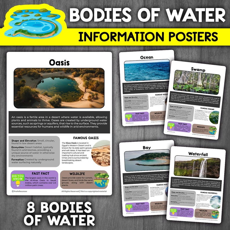Landforms and Bodies of Water Activity Bundle | Types of Landforms - Etsy