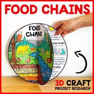 May include: A colorful, illustrated 3D craft project titled "Food Chains." The open book-like design shows a forest scene with animals, a river, and underground layers. Text includes "Food Chains" and "3D Craft Project Research."
