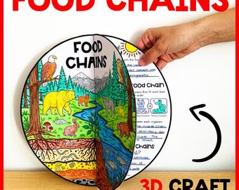 Food Chains Project Activity | Food Webs CRAFT 3D Model | ALL About Animals Ecosystems | Food chains and food websites | Food chain craft