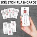 Skeletal System Flashcards | Bones Flashcards | Nomenclature Cards | Montessori Skeletal 3-PART Cards product logo