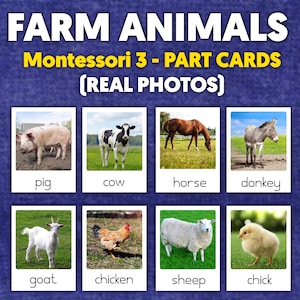 Farm Animals Montessori 3-Part Cards ( REAL IMAGES) | Farm Vocabulary Flashcards | Farm Animals Flashcards
