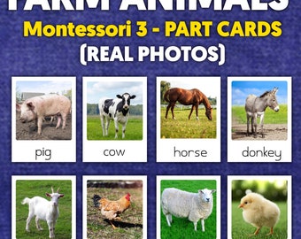 Bauernhoftiere Montessori 3-teilige Karten (ECHTE BILDER) | Vokabelkarten zum Bauernhof | Karteikarten mit Bauernhoftieren