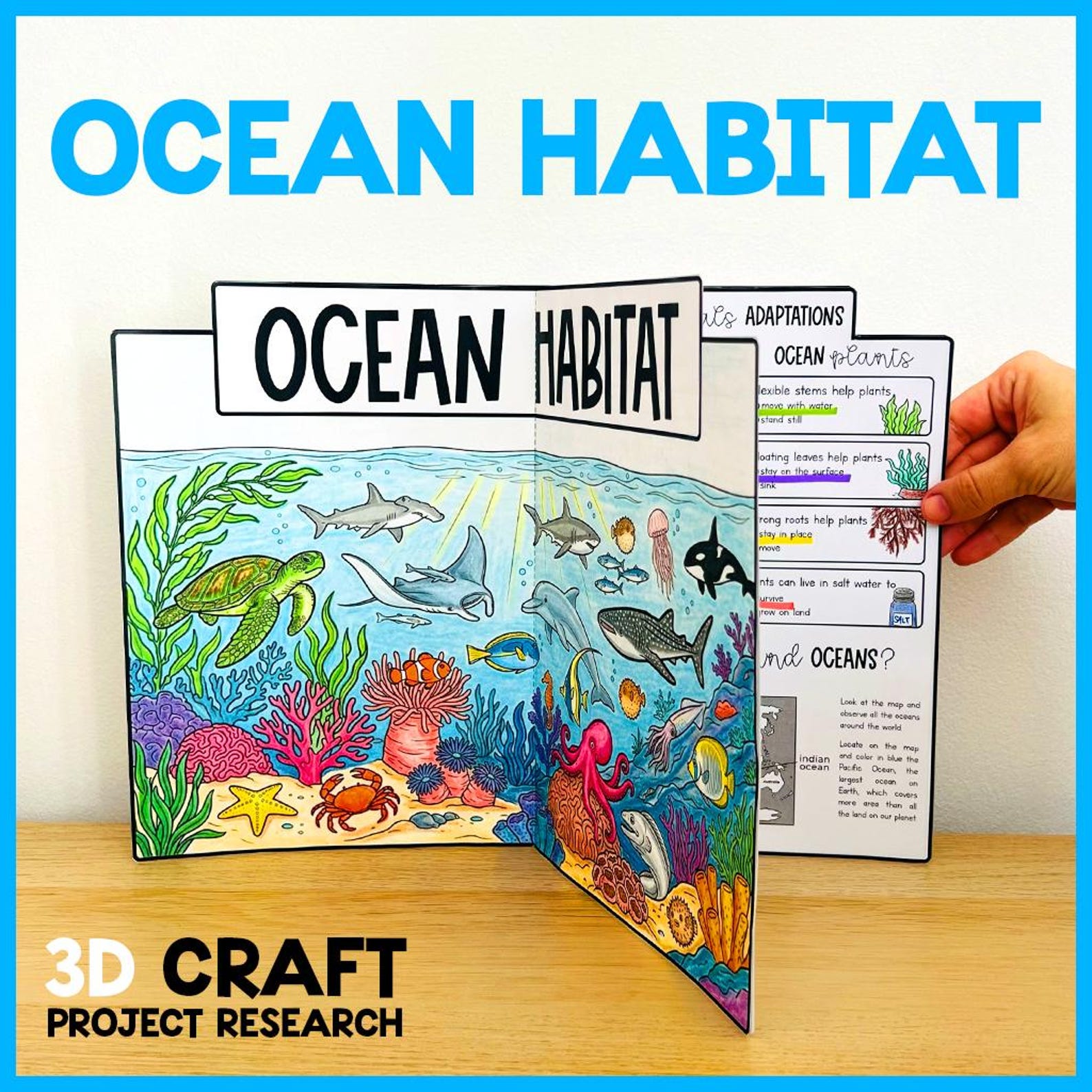 OCEAN Habitat | 3D Craft Activity | Biomes Hands-on Science Learning ...